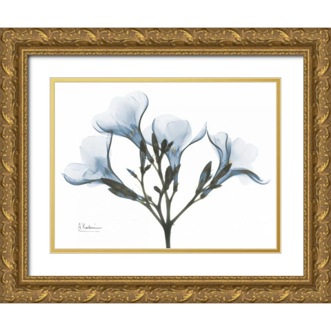 Oleander in Blue Gold Ornate Wood Framed Art Print with Double Matting by Koetsier, Albert