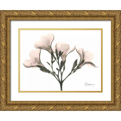 Oleander in Pink Gold Ornate Wood Framed Art Print with Double Matting by Koetsier, Albert