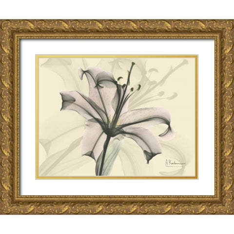 Lily in Pink on Beige Gold Ornate Wood Framed Art Print with Double Matting by Koetsier, Albert