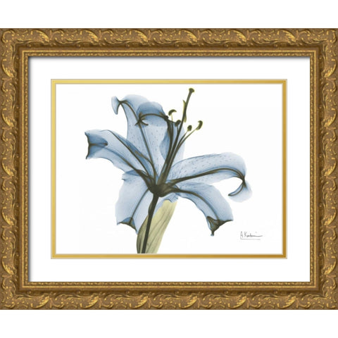 Lily in Pink on Blue Gold Ornate Wood Framed Art Print with Double Matting by Koetsier, Albert