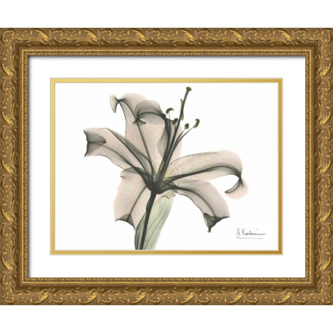 Lily in Pink Gold Ornate Wood Framed Art Print with Double Matting by Koetsier, Albert