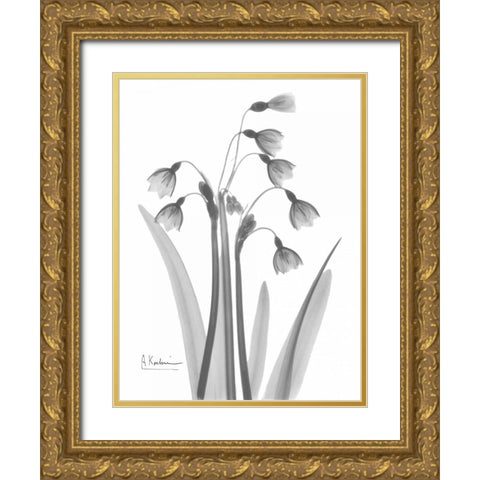 Snow Drop in BandW Gold Ornate Wood Framed Art Print with Double Matting by Koetsier, Albert