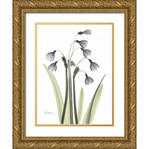 Snow Drop in Color Gold Ornate Wood Framed Art Print with Double Matting by Koetsier, Albert