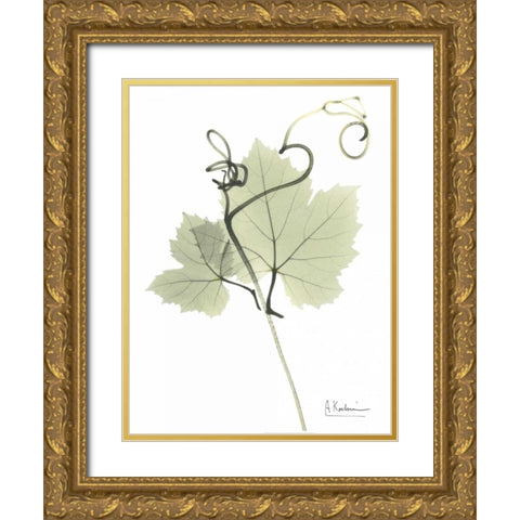 Grape Vine in Pale Green Gold Ornate Wood Framed Art Print with Double Matting by Koetsier, Albert