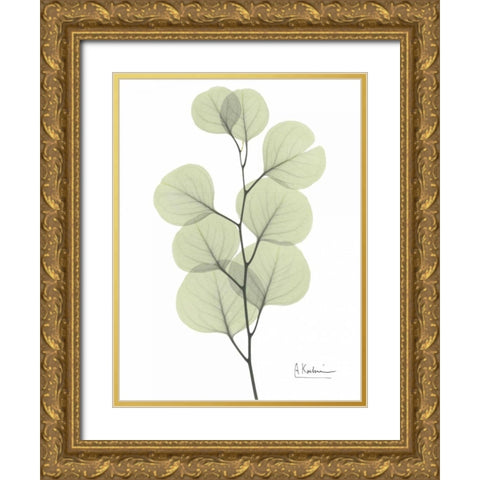 Eucalyptus in Pale Green Gold Ornate Wood Framed Art Print with Double Matting by Koetsier, Albert