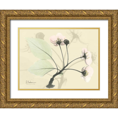 Wild Cherry on Beige Gold Ornate Wood Framed Art Print with Double Matting by Koetsier, Albert