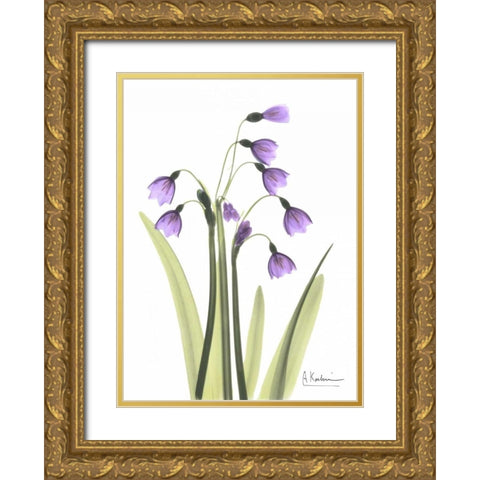 Snow Drop in Full Bloom Gold Ornate Wood Framed Art Print with Double Matting by Koetsier, Albert