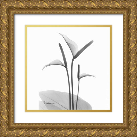 Flamingo Plant in BandW Gold Ornate Wood Framed Art Print with Double Matting by Koetsier, Albert