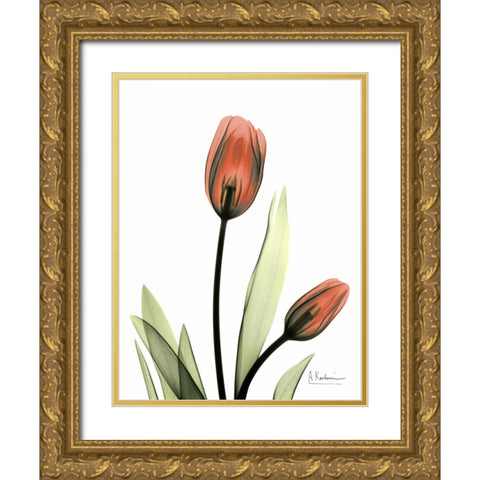 Red Tulips Gold Ornate Wood Framed Art Print with Double Matting by Koetsier, Albert