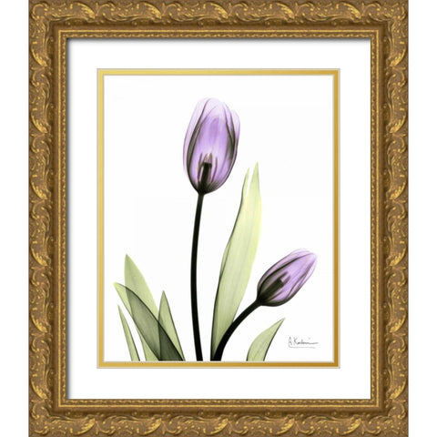 Tulip in Full Bloom Gold Ornate Wood Framed Art Print with Double Matting by Koetsier, Albert