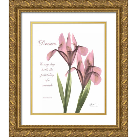 Pink Iris - Dream Gold Ornate Wood Framed Art Print with Double Matting by Koetsier, Albert