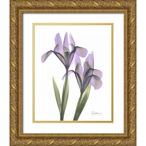 Purple Iris Gold Ornate Wood Framed Art Print with Double Matting by Koetsier, Albert