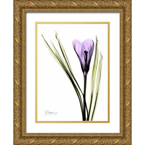 Purple Crocus Gold Ornate Wood Framed Art Print with Double Matting by Koetsier, Albert