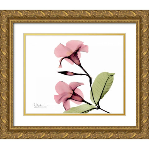 Pink Mandelila Bunch Gold Ornate Wood Framed Art Print with Double Matting by Koetsier, Albert