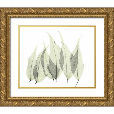 Japanese Fern in Green Gold Ornate Wood Framed Art Print with Double Matting by Koetsier, Albert