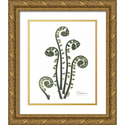 Fiddle Fern in Green Gold Ornate Wood Framed Art Print with Double Matting by Koetsier, Albert