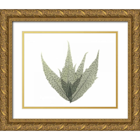 Japanese Fern in Green 2 Gold Ornate Wood Framed Art Print with Double Matting by Koetsier, Albert