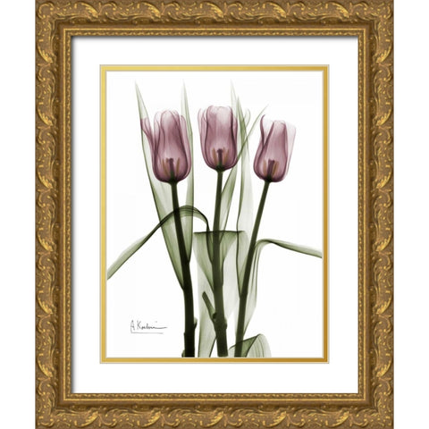 Triplet Tulips in Color Gold Ornate Wood Framed Art Print with Double Matting by Koetsier, Albert