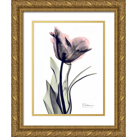 Single Tulip in Color Gold Ornate Wood Framed Art Print with Double Matting by Koetsier, Albert