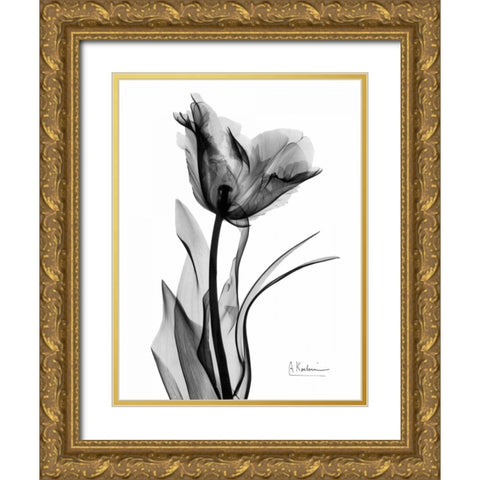 Single Tulip in BandW Gold Ornate Wood Framed Art Print with Double Matting by Koetsier, Albert