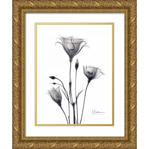 Bouquet of Gentian in BandW Gold Ornate Wood Framed Art Print with Double Matting by Koetsier, Albert