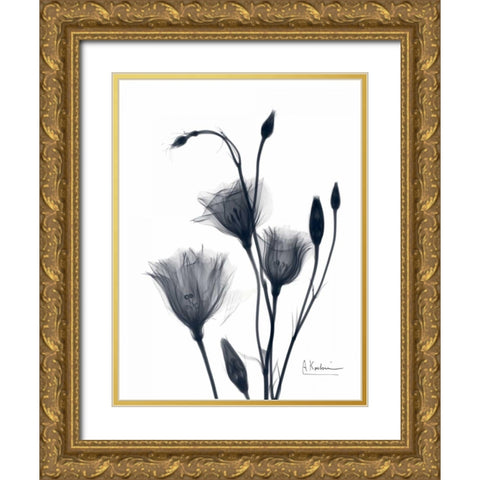 Bouquet of Gentian in BandW2 Gold Ornate Wood Framed Art Print with Double Matting by Koetsier, Albert