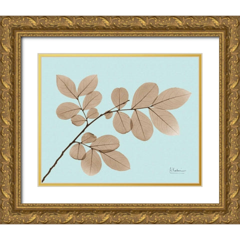 Myrtle Tree in Brown on Blue Gold Ornate Wood Framed Art Print with Double Matting by Koetsier, Albert