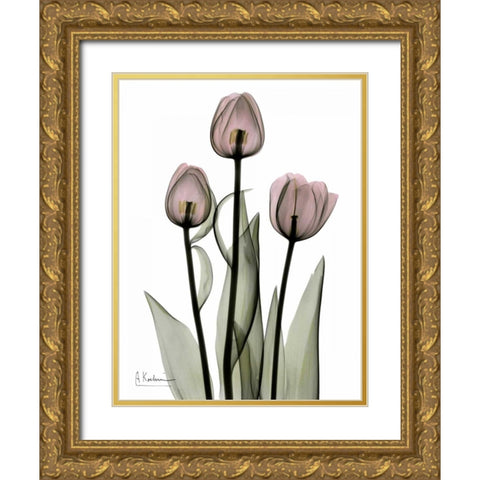 Early Tulips in Pink Gold Ornate Wood Framed Art Print with Double Matting by Koetsier, Albert