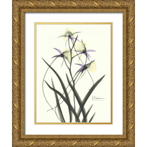 Orchids a Plenty in Purple and Yellow Gold Ornate Wood Framed Art Print with Double Matting by Koetsier, Albert