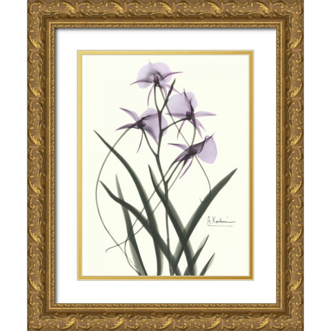 Orchids a Plenty in Purple Gold Ornate Wood Framed Art Print with Double Matting by Koetsier, Albert