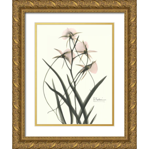 Orchids a Plenty in Pink Gold Ornate Wood Framed Art Print with Double Matting by Koetsier, Albert