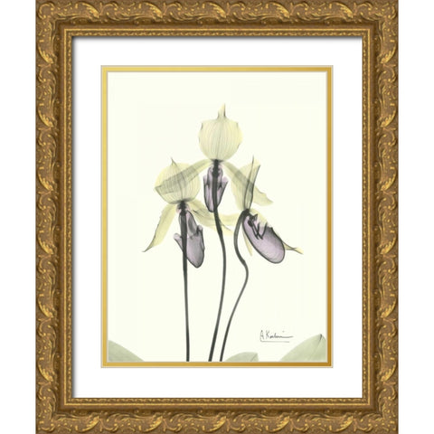 Lovely Orchids Gold Ornate Wood Framed Art Print with Double Matting by Koetsier, Albert