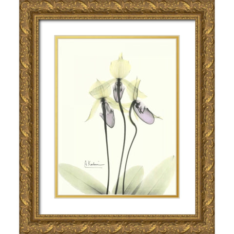 Lovely Orchids 2 Gold Ornate Wood Framed Art Print with Double Matting by Koetsier, Albert