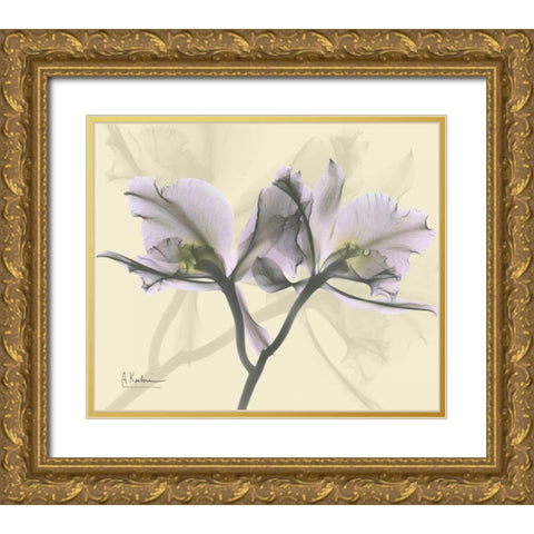 Beautiful Orchid in Purple on Beige Gold Ornate Wood Framed Art Print with Double Matting by Koetsier, Albert