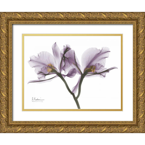 Beautiful Orchid in Purple 2 Gold Ornate Wood Framed Art Print with Double Matting by Koetsier, Albert