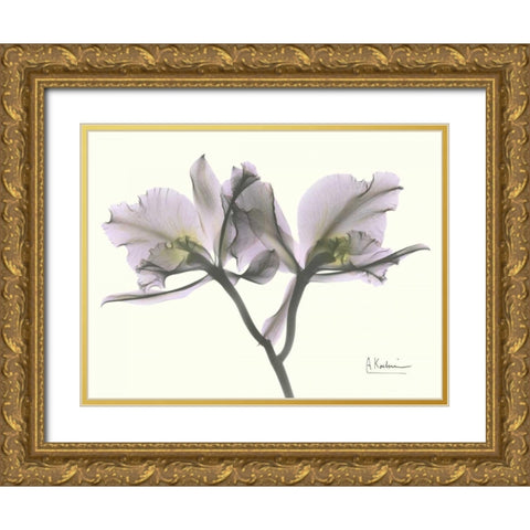 Beautiful Orchid in Purple Gold Ornate Wood Framed Art Print with Double Matting by Koetsier, Albert