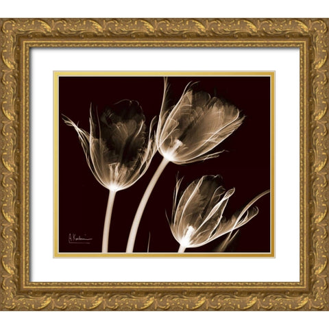 Tulips Brown on Red Gold Ornate Wood Framed Art Print with Double Matting by Koetsier, Albert