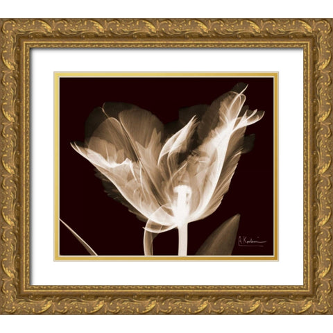 Single Tulip Brown on Red Gold Ornate Wood Framed Art Print with Double Matting by Koetsier, Albert