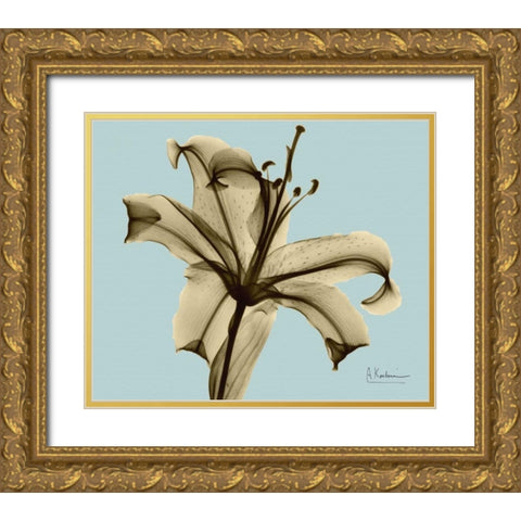 Single Lily Brown on Blue Gold Ornate Wood Framed Art Print with Double Matting by Koetsier, Albert