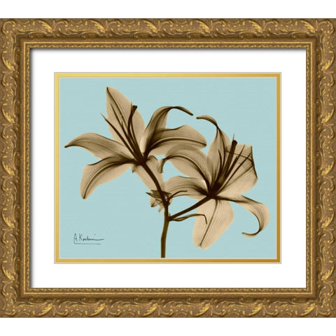 Double Lilies Brown on Blue Gold Ornate Wood Framed Art Print with Double Matting by Koetsier, Albert