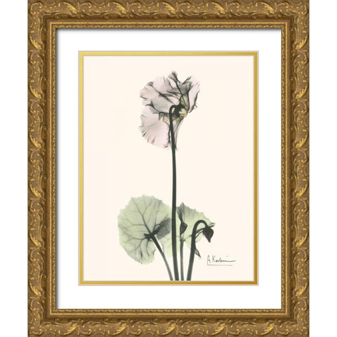 Single Cyclamen Gold Ornate Wood Framed Art Print with Double Matting by Koetsier, Albert