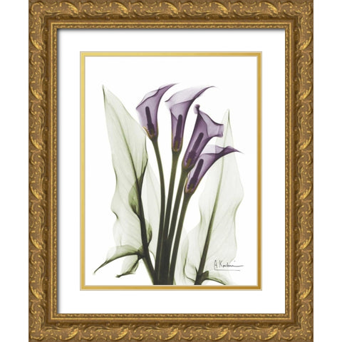 Calla Lily Quad in Color Gold Ornate Wood Framed Art Print with Double Matting by Koetsier, Albert