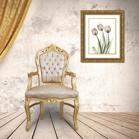 Three Pale Pink Tulips Gold Ornate Wood Framed Art Print with Double Matting by Koetsier, Albert