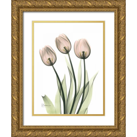 Three Pale Pink Tulips Gold Ornate Wood Framed Art Print with Double Matting by Koetsier, Albert