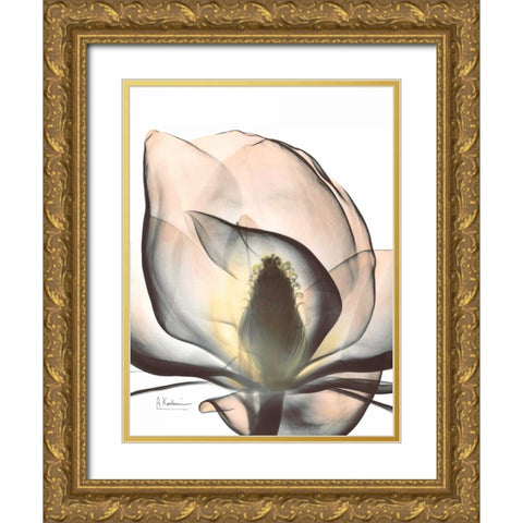 Magnolia Close Up Gold Ornate Wood Framed Art Print with Double Matting by Koetsier, Albert