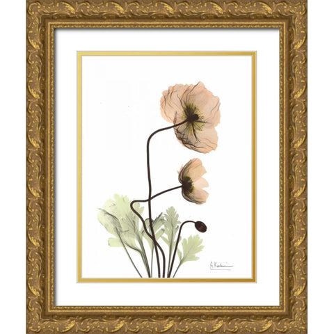 Iceland Poppy in Color Gold Ornate Wood Framed Art Print with Double Matting by Koetsier, Albert