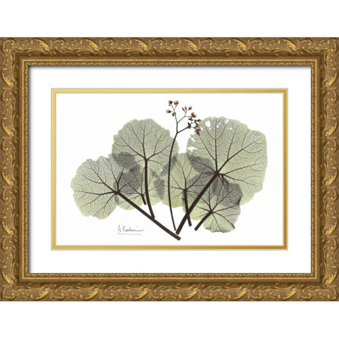 Begonia in Green Gold Ornate Wood Framed Art Print with Double Matting by Koetsier, Albert