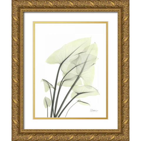 Calla Leaf In Green Gold Ornate Wood Framed Art Print with Double Matting by Koetsier, Albert