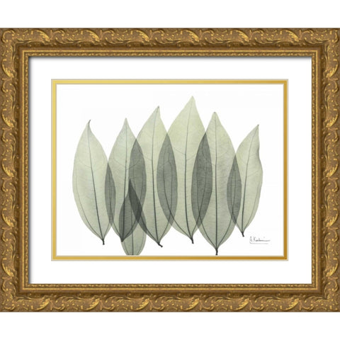 Coculus Leaf In Green Gold Ornate Wood Framed Art Print with Double Matting by Koetsier, Albert