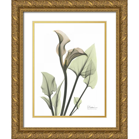 Calla Lily in Green Gold Ornate Wood Framed Art Print with Double Matting by Koetsier, Albert